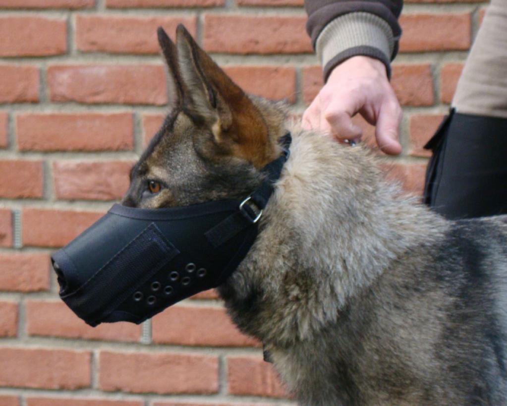 Hundemaulkorb Drahtmaulkorb / Dienstmaulkorb