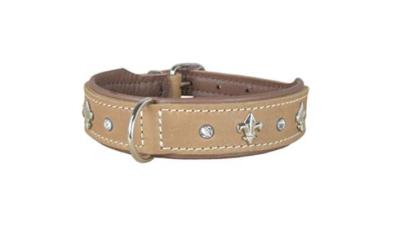 Hundehalsband aus Leder